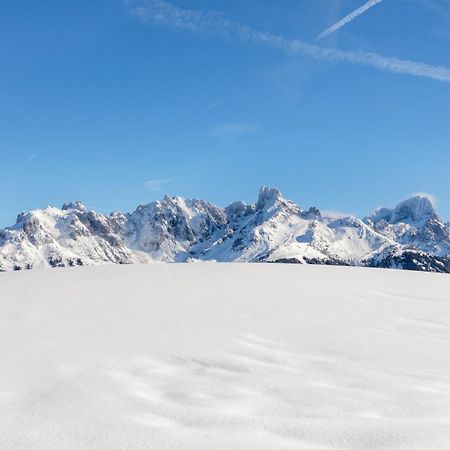Appartements Haus Bergland Sankt Martin am Tennengebirge Dış mekan fotoğraf