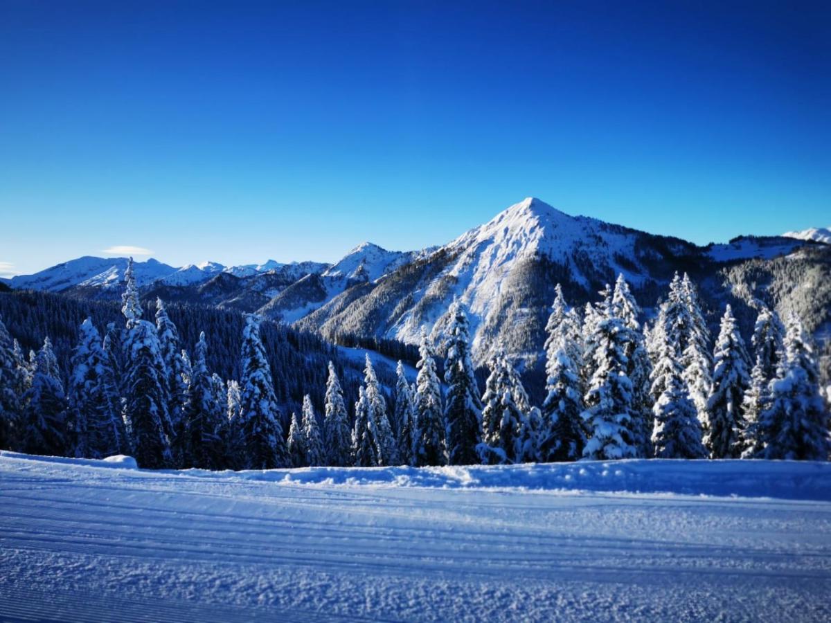 Appartements Haus Bergland Sankt Martin am Tennengebirge Dış mekan fotoğraf