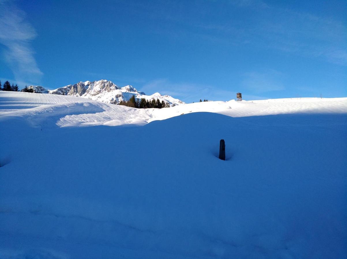 Appartements Haus Bergland Sankt Martin am Tennengebirge Dış mekan fotoğraf