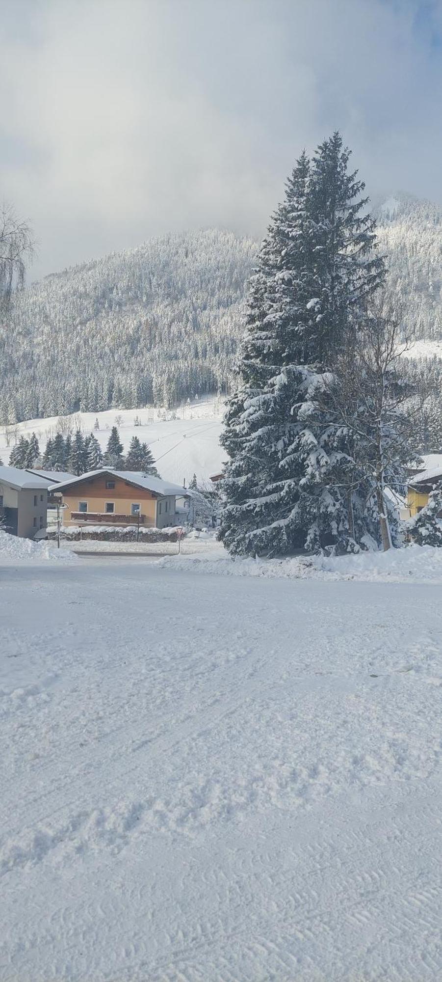 Appartements Haus Bergland Sankt Martin am Tennengebirge Dış mekan fotoğraf