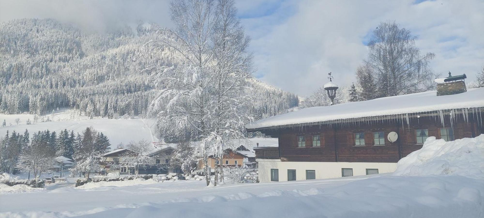 Appartements Haus Bergland Sankt Martin am Tennengebirge Dış mekan fotoğraf
