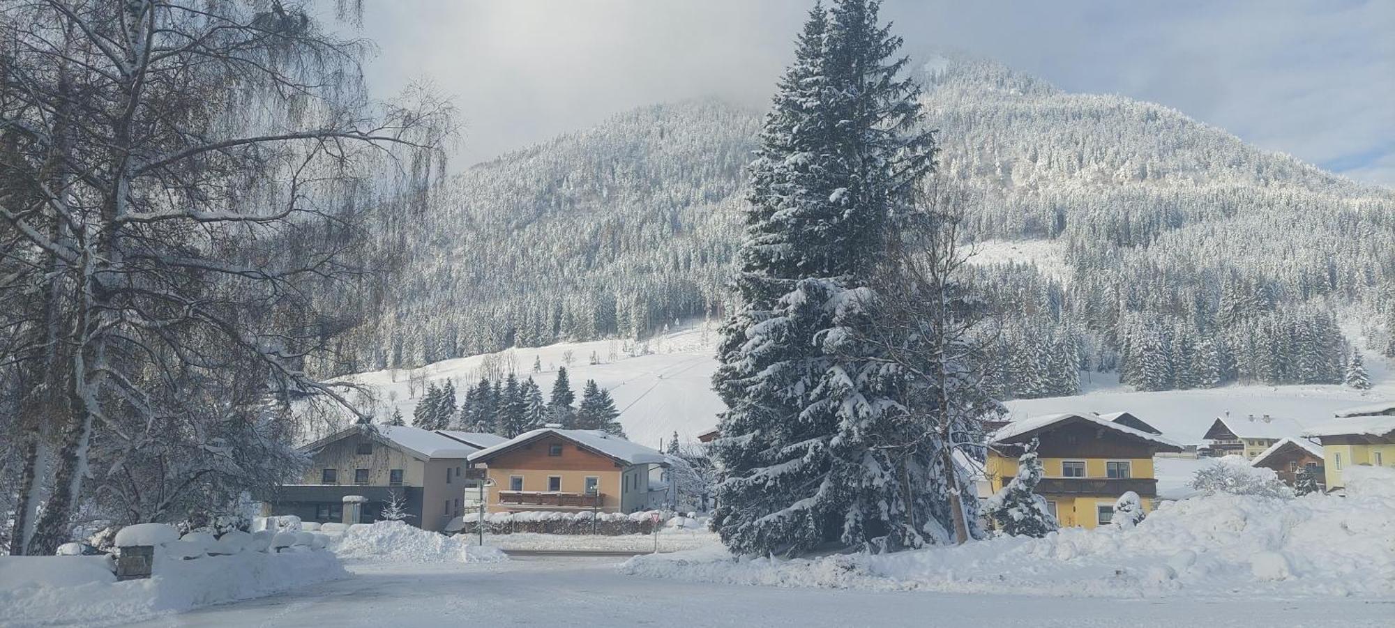 Appartements Haus Bergland Sankt Martin am Tennengebirge Dış mekan fotoğraf